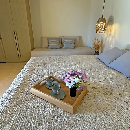 Hotel Onar Andros 3*