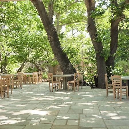 Onar Andros Hotel