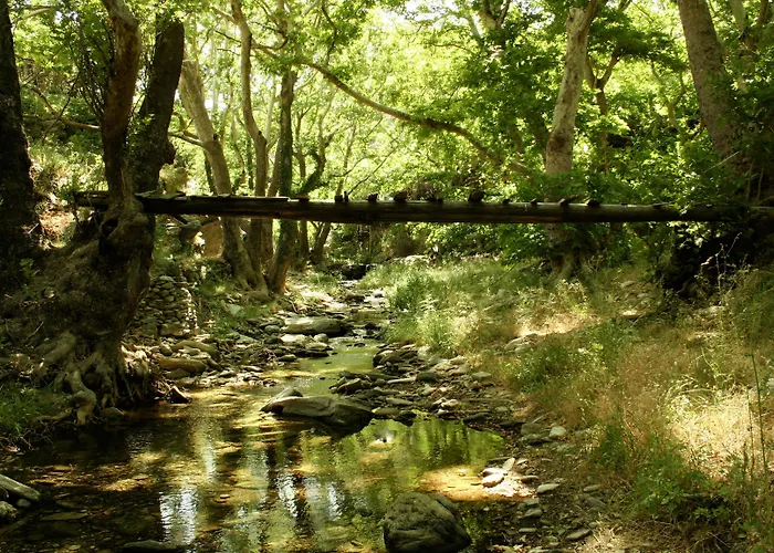 Hotel Onar Andros Achla