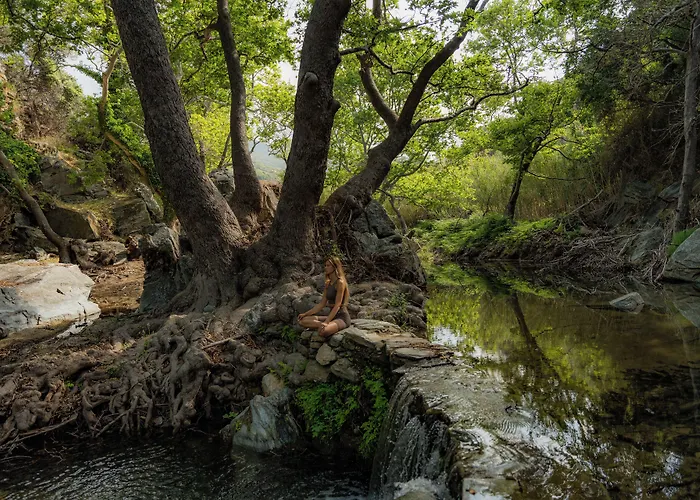 Onar Andros 3* Achla