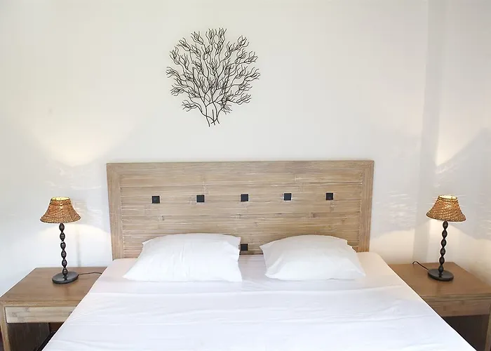 Onar Andros Hotel 3*