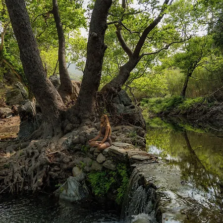 Onar Andros 3* Achla