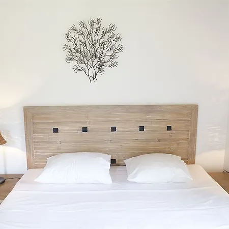 Onar Andros Hotel 3*