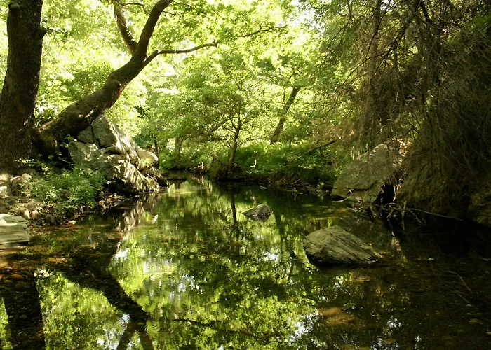 Onar Andros 3* Achla