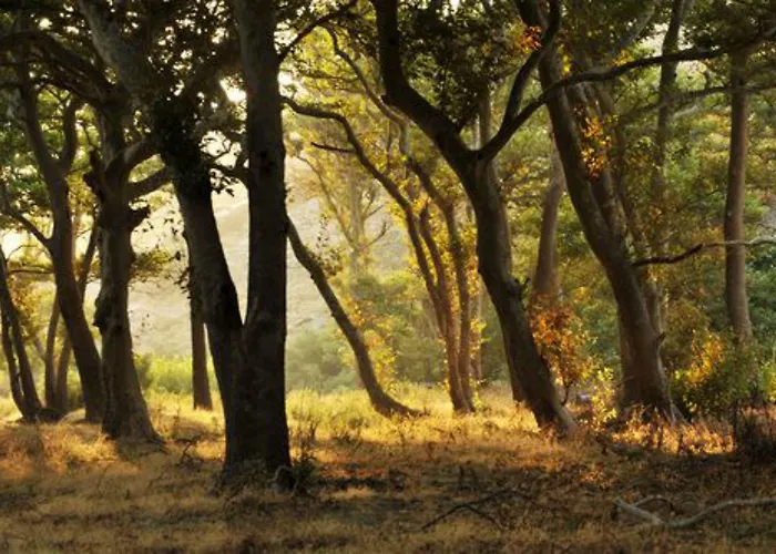 Onar Andros Hotel Achla