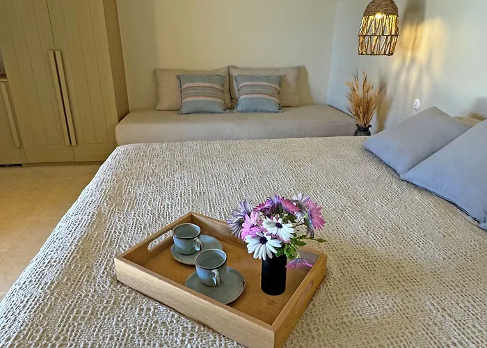 Hotel Onar Andros 3*